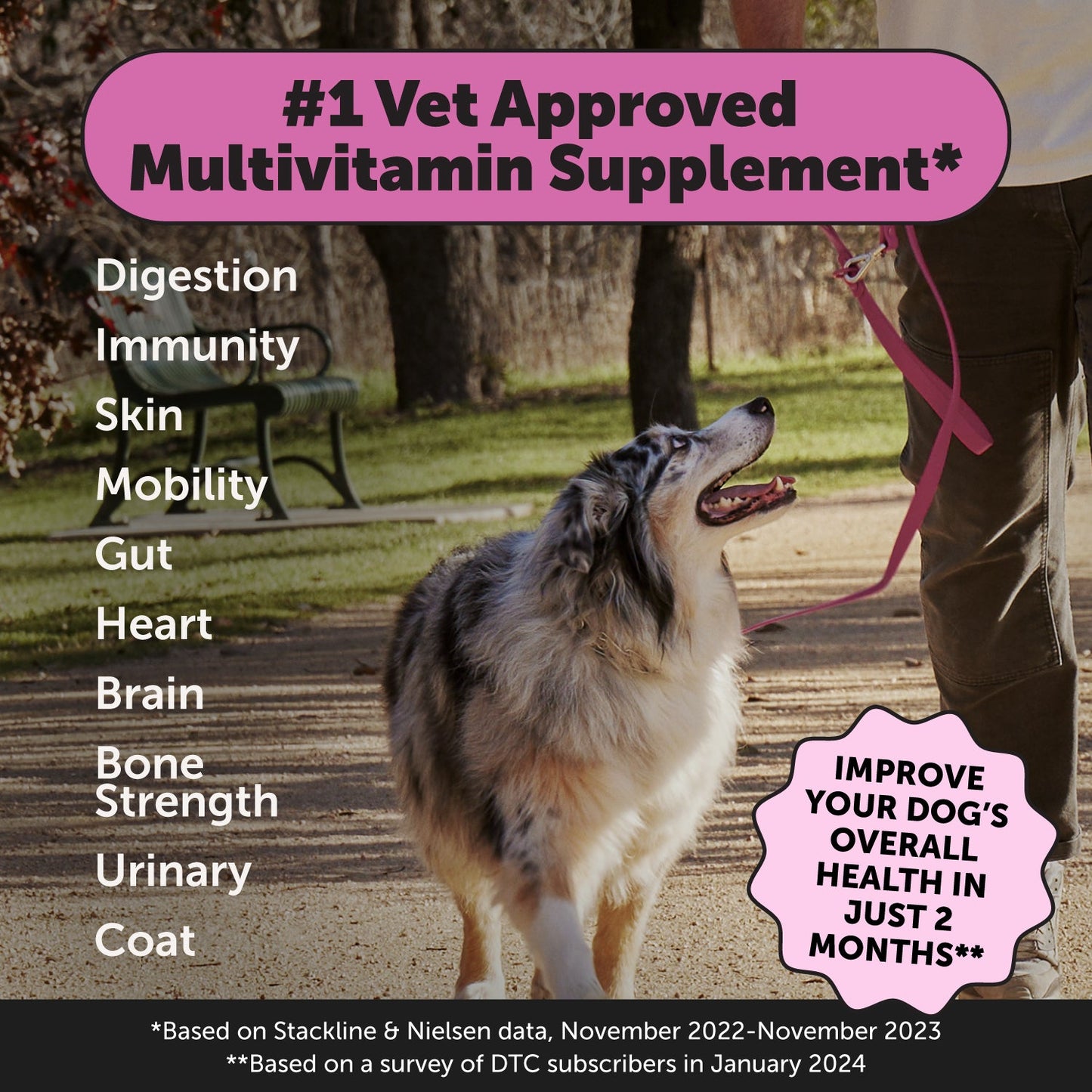 Multivitamin 10-in-1 (Chicken Flavor)