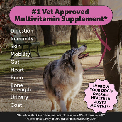 Multivitamin 10-in-1 (Chicken Flavor)