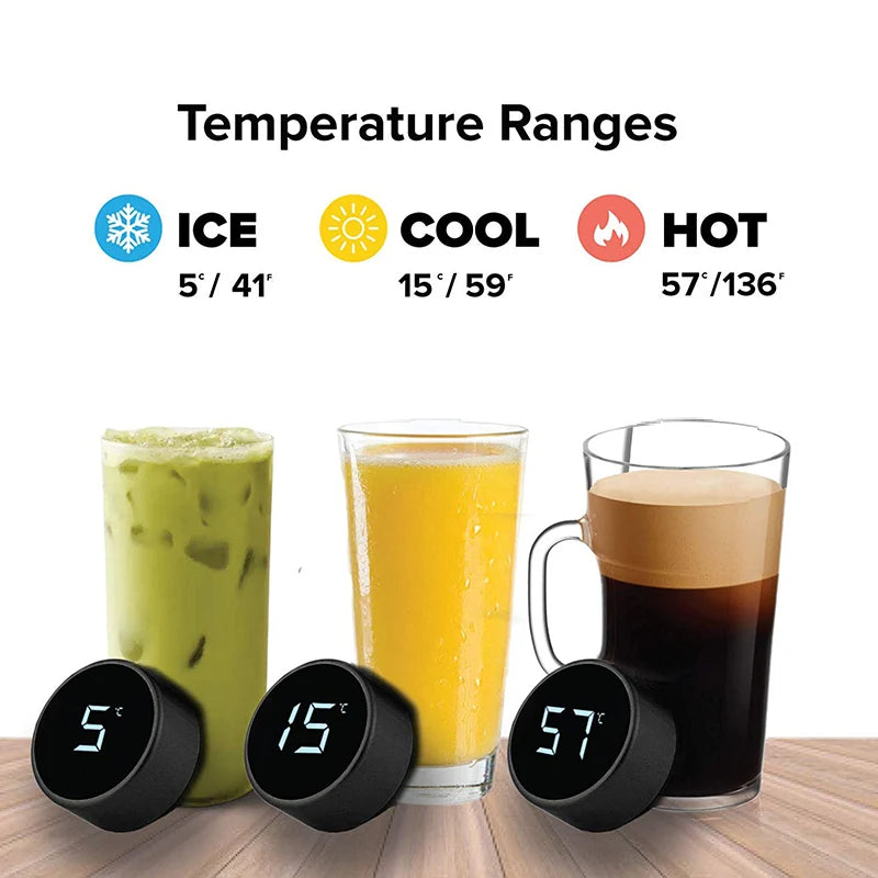 Stainless Steel Smart Water Bottle, Temperature Display