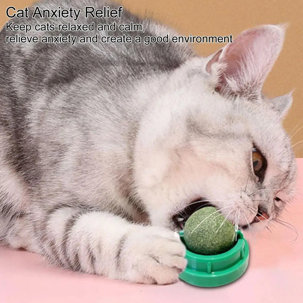 NipSpin Catnip WallBall