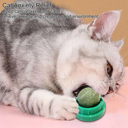 NipSpin Catnip WallBall