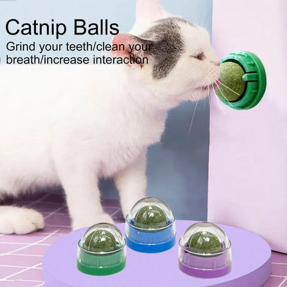 NipSpin Catnip WallBall